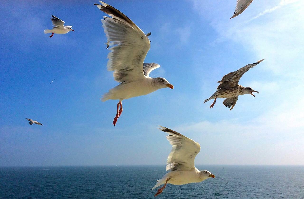 De Boem Villa Westermient Dış mekan fotoğraf